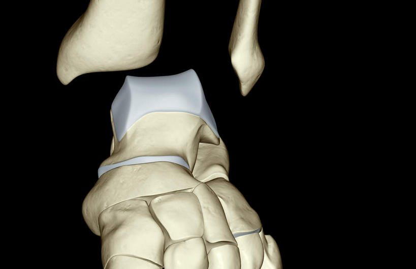 动脉,静脉,骨骼,无人,横图,插画,室内,特写,白天,正面,数码,科技,静物,阴影,黑色背景,局部,网络,医学,骨头,高光,几何,计算机图形,合成,图画,画,模型,人体,部分,电脑合成图,数码合成图,骨架,生物学,漫画,生理学,写实,具体,具象,跖骨,足骨,裸关节,半身,彩图