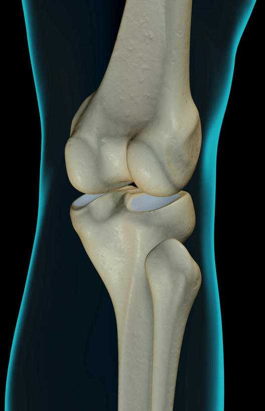 动脉,静脉,骨骼,无人,竖图,插画,x光片,室内,特写,白天,正面,数码,科技,静物,阴影,黑色背景,局部,辐射,科学,网络,医学,骨头,光芒,高光,几何,计算机图形,合成,图画,画,蓝色,模型,人体,部分,电脑合成图,数码合成图,骨架,医疗,生物学,科学技术,x射线,x光,漫画,生理学,写实,具体,具象,髌骨,内上髁,外侧髁,外上髁,半身,彩图,电磁波,电磁辐射