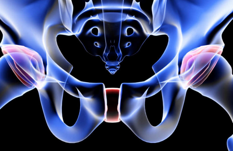 动脉,静脉,骨骼,无人,横图,插画,x光片,室内,特写,白天,正面,数码,科技,静物,阴影,黑色背景,辐射,科学,网络,医学,骨头,高光,几何,计算机图形,合成,图画,画,模型,人体,电脑合成图,数码合成图,骨架,医疗,生物学,科学技术,x射线,x光,漫画,生理学,写实,具体,具象,骶骨,髋骨,尾骨,耻骨,坐骨,彩图,电磁波,电磁辐射