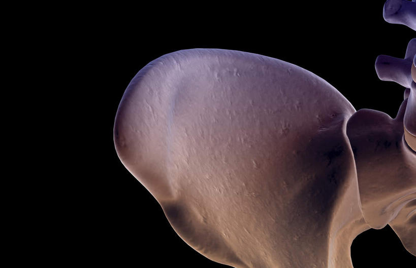 动脉,静脉,骨骼,脊椎,无人,横图,插画,x光片,室内,特写,白天,正面,数码,科技,静物,阴影,黑色背景,辐射,科学,网络,医学,骨头,高光,几何,计算机图形,合成,图画,画,模型,人体,电脑合成图,数码合成图,骨架,医疗,生物学,科学技术,x射线,x光,漫画,生理学,写实,具体,具象,髋骨,椎骨,脊椎骨,脊柱,彩图,电磁波,电磁辐射