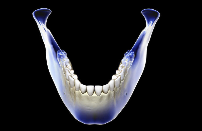 动脉,静脉,骨骼,无人,横图,插画,x光片,室内,特写,白天,正面,数码,科技,静物,阴影,黑色背景,辐射,科学,网络,医学,头骨,骨头,高光,几何,计算机图形,合成,图画,画,模型,人体,电脑合成图,数码合成图,骨架,医疗,生物学,科学技术,x射线,x光,漫画,生理学,写实,具体,具象,颚骨,下颌骨,彩图,电磁波,电磁辐射