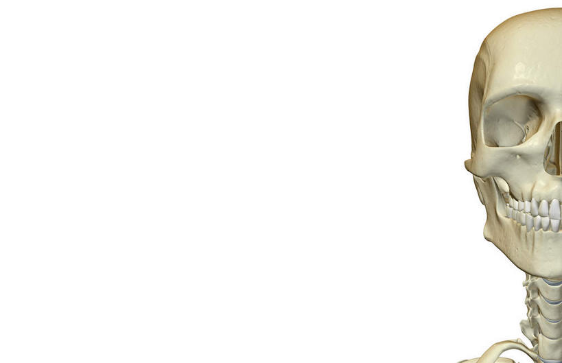 颅骨,动脉,静脉,骨骼,脊椎,无人,横图,插画,x光片,室内,特写,白天,白色背景,正面,数码,科技,静物,阴影,辐射,科学,网络,医学,头骨,骨头,高光,几何,计算机图形,合成,图画,画,模型,人体,电脑合成图,数码合成图,骨架,医疗,生物学,科学技术,x射线,x光,漫画,生理学,写实,具体,具象,颚骨,颈椎,椎骨,脊椎骨,面颅骨,下颌骨,脊柱,头盖骨,彩图,电磁波,电磁辐射