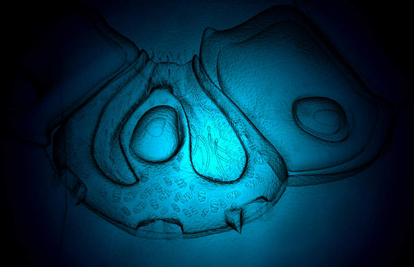 无人,横图,插画,室内,特写,白天,正面,数码,科技,静物,阴影,黑色背景,网络,医学,细胞,高光,几何,计算机图形,合成,图画,画,人体,电脑合成图,数码合成图,生物学,漫画,生理学,写实,具体,具象,胃壁,胃酸,胃腺,彩图,消化系统