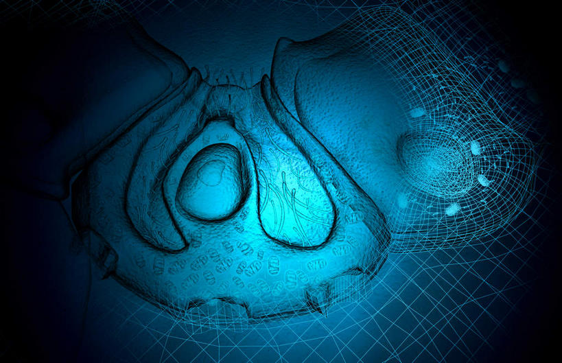 无人,横图,插画,室内,特写,白天,正面,数码,科技,静物,阴影,黑色背景,网络,医学,细胞,高光,几何,计算机图形,合成,图画,画,人体,电脑合成图,数码合成图,生物学,漫画,生理学,写实,具体,具象,胃壁,胃酸,胃腺,彩图,消化系统