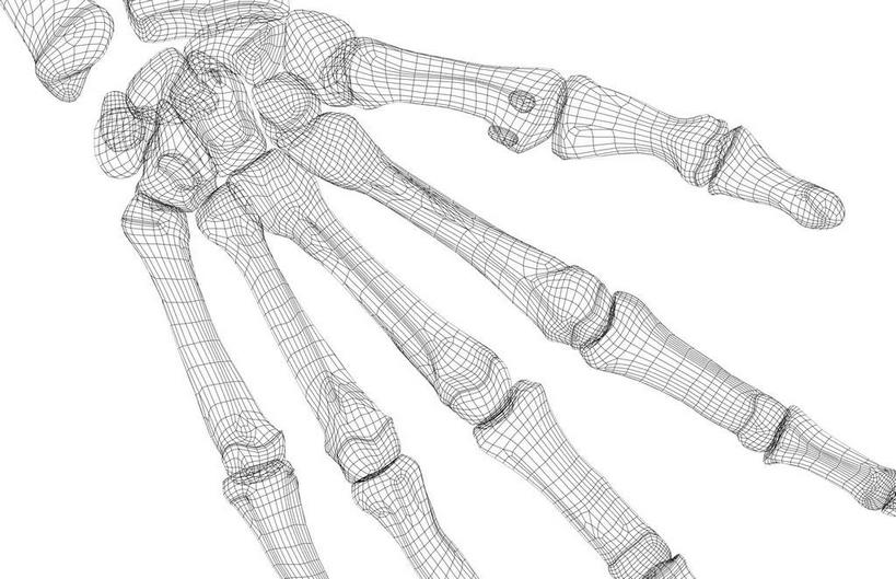 动脉,静脉,骨骼,无人,横图,插画,x光片,室内,特写,白天,白色背景,正面,数码,科技,静物,阴影,辐射,科学,网络,医学,骨头,高光,几何,计算机图形,合成,图画,画,模型,人体,电脑合成图,数码合成图,骨架,医疗,生物学,科学技术,x射线,手骨,x光,漫画,生理学,写实,具体,具象,指骨,手舟骨,彩图,电磁波,电磁辐射