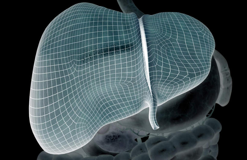 内脏,胰腺,脾,肠,动脉,静脉,十二指肠,无人,横图,插画,室内,白天,正面,数码,科技,静物,阴影,黑色背景,网络,医学,高光,几何,计算机图形,合成,图画,画,模型,人体,电脑合成图,数码合成图,生物学,人体器官,器官,漫画,生理学,写实,具体,具象,消化道,大肠,盲肠,脾脏,小肠,直肠,彩图