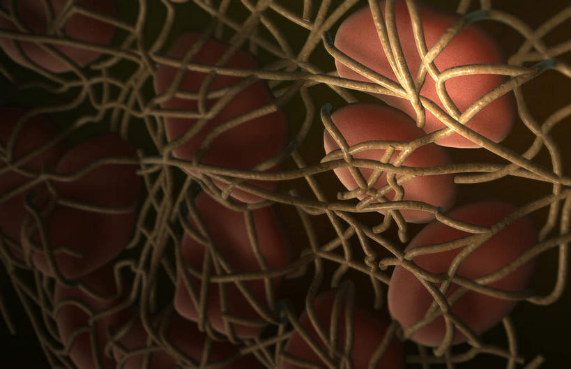 无人,横图,插画,室内,白天,白色背景,正面,数码,科技,静物,阴影,网络,医学,细胞,高光,几何,计算机图形,合成,图画,画,人体,电脑合成图,数码合成图,生物学,漫画,生理学,写实,具体,具象,血块,纤维蛋白,彩图