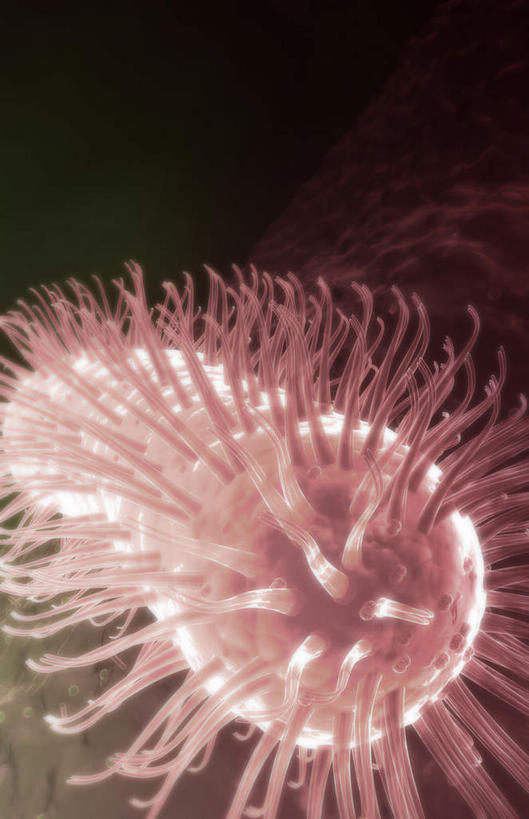 无人,竖图,插画,室内,特写,白天,正面,数码,科技,静物,阴影,黑色背景,网络,细菌,医学,细胞,高光,几何,计算机图形,合成,图画,画,人体,电脑合成图,数码合成图,病毒,生物学,真菌,漫画,生理学,写实,具体,具象,鞭毛,幽门螺杆菌,彩图,感染