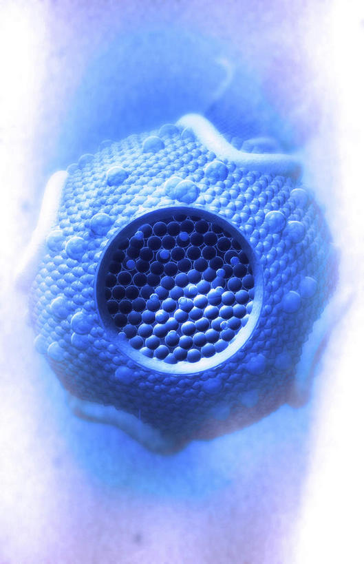 无人,竖图,插画,室内,白天,白色背景,正面,数码,科技,静物,阴影,网络,医学,细胞,高光,几何,计算机图形,合成,图画,画,一个,人体,单个,电脑合成图,数码合成图,生物学,蛋白质,漫画,生理学,写实,具体,具象,胆固醇,低密度脂蛋白,脂蛋白,彩图