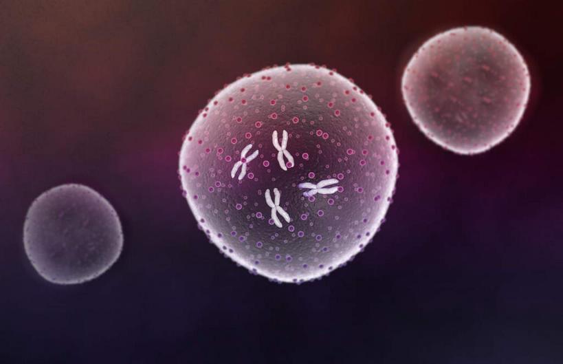 无人,横图,插画,室内,白天,正面,数码,科技,静物,阴影,黑色背景,网络,医学,细胞,高光,几何,计算机图形,合成,图画,画,人体,电脑合成图,数码合成图,生物学,破裂,分裂,漫画,生理学,写实,具体,具象,细胞分裂,有丝分裂,割裂,盘据,彩图,决裂