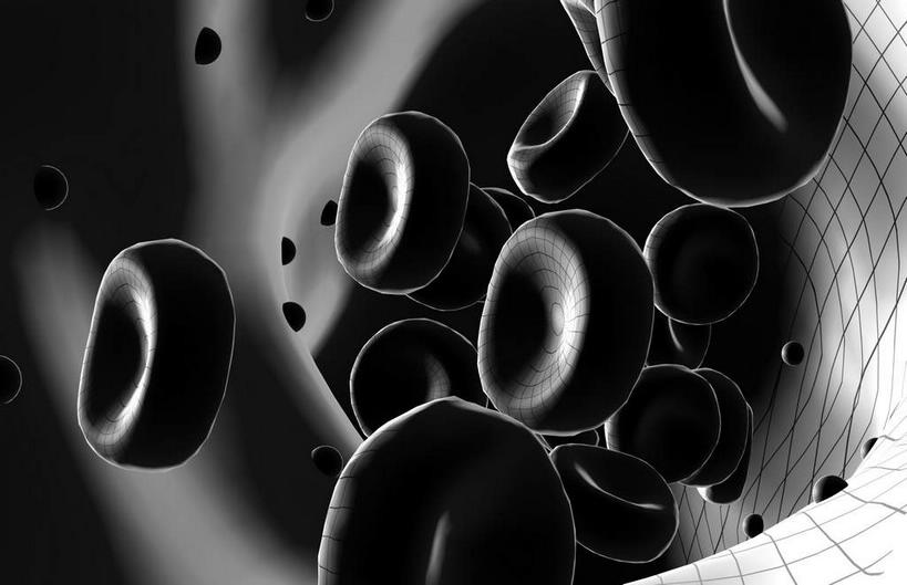 无人,横图,黑白,插画,室内,白天,正面,数码,科技,静物,阴影,黑色背景,网络,医学,细胞,高光,几何,计算机图形,合成,图画,画,血液,人体,电脑合成图,数码合成图,生物学,血细胞,漫画,白细胞,生理学,写实,具体,具象,红细胞