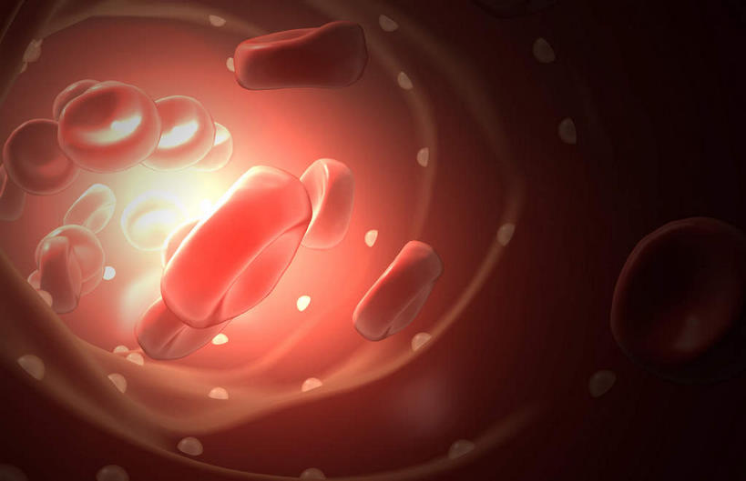 无人,横图,插画,室内,白天,白色背景,正面,数码,科技,静物,阴影,网络,医学,细胞,高光,几何,计算机图形,合成,图画,画,血液,人体,电脑合成图,数码合成图,生物学,血细胞,漫画,白细胞,生理学,写实,具体,具象,红细胞,彩图