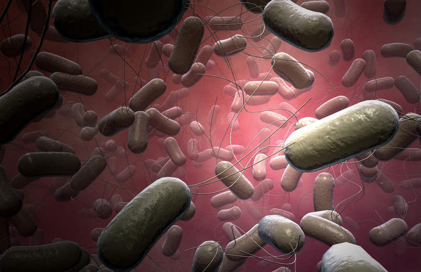 无人,横图,插画,室内,白天,白色背景,正面,数码,科技,静物,阴影,网络,细菌,医学,高光,几何,计算机图形,合成,图画,画,人体,电脑合成图,数码合成图,生物学,漫画,生理学,写实,具体,具象,棒状,肠杆菌,彩图,沙门氏菌