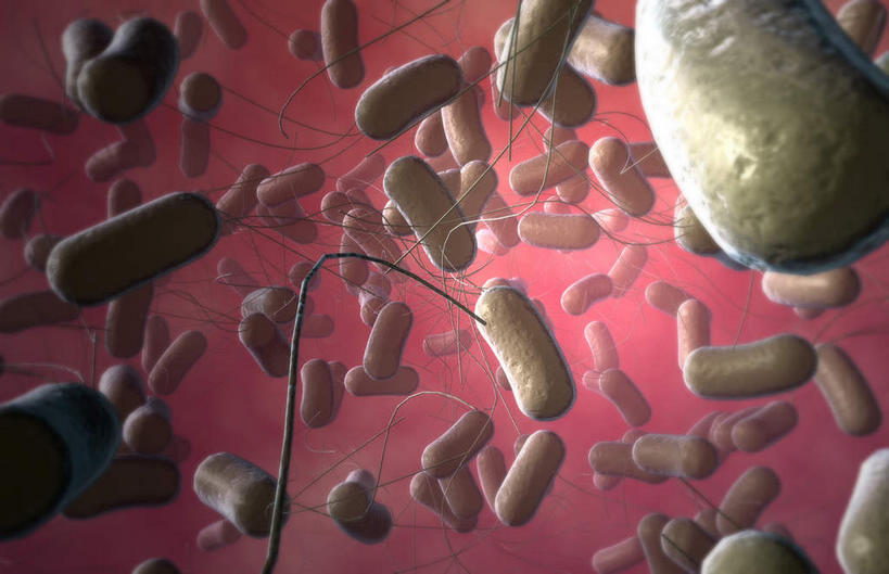 无人,横图,插画,室内,白天,白色背景,正面,数码,科技,静物,阴影,网络,细菌,医学,高光,几何,计算机图形,合成,图画,画,人体,电脑合成图,数码合成图,生物学,漫画,生理学,写实,具体,具象,棒状,肠杆菌,彩图,沙门氏菌