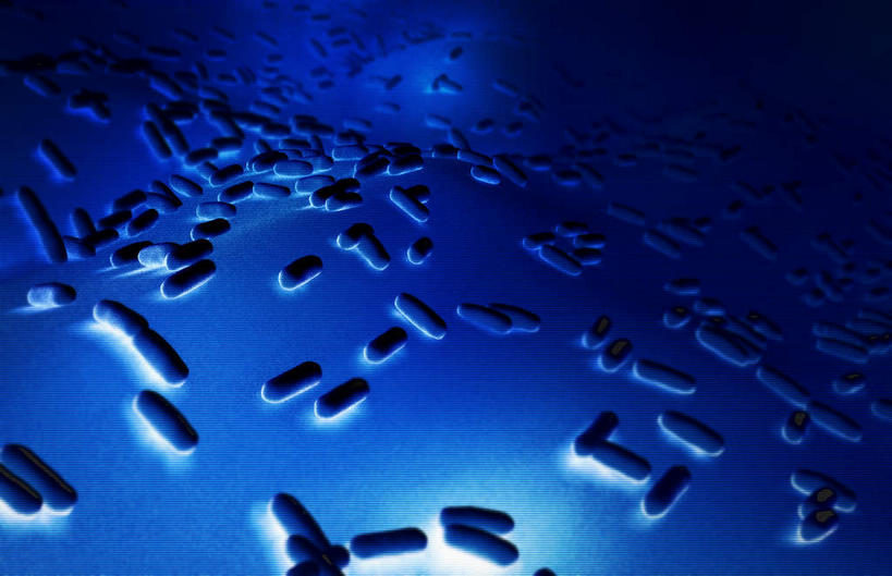 无人,横图,插画,室内,白天,白色背景,正面,数码,科技,静物,阴影,网络,医学,细胞,高光,几何,计算机图形,合成,图画,画,人体,电脑合成图,数码合成图,生物学,漫画,生理学,写实,具体,具象,枯草芽孢杆菌,蜡样芽孢杆菌,肉毒杆菌,破伤风,炭疽,彩图