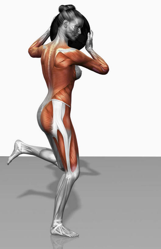 西方人,肌肉,健壮,一个人,无人,健身房,站,举,竖图,插画,室内,白天,白色背景,侧面,数码,科技,欧洲,欧洲人,仅一个年轻女性,仅一个女性,仅一个人,握,阴影,网络,高光,几何,计算机图形,拿,合成,图画,拿着,运动器械,画,托,站着,健康,健身器械,健身球,活力,力量,握着,青春,瑜伽球,电脑合成图,数码合成图,强壮,健身器材,漫画,写实,具体,具象,背阔肌,二头肌,三角肌,股外侧肌,肌肉训练,重量训练,年轻女性,女人,女性,白种人,举起,举手,举着,向上举,向上伸,向上托,站立,彩图,全身,健身馆,运动器材