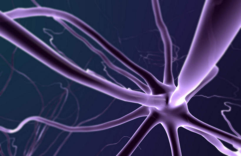 无人,横图,插画,室内,白天,正面,数码,科技,静物,阴影,黑色背景,网络,医学,细胞,高光,几何,计算机图形,合成,图画,画,交错,发散,人体,分散,电脑合成图,数码合成图,生物学,漫画,神经元,生理学,写实,具体,具象,神经细胞,运动神经元,彩图,神经系统