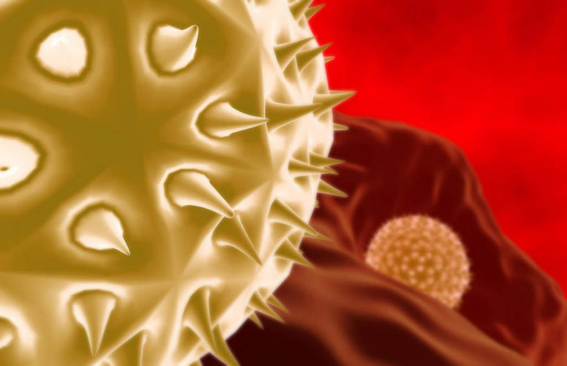 无人,横图,插画,室内,白天,正面,数码,分子,科技,微生物,静物,阴影,网络,医学,高光,几何,计算机图形,合成,图画,画,金色,生物,电脑合成图,数码合成图,医疗,病毒,生物学,漫画,花粉,过敏,生理学,写实,具体,具象,过敏反应,寄生,生命体,花粉症,过敏症,彩图