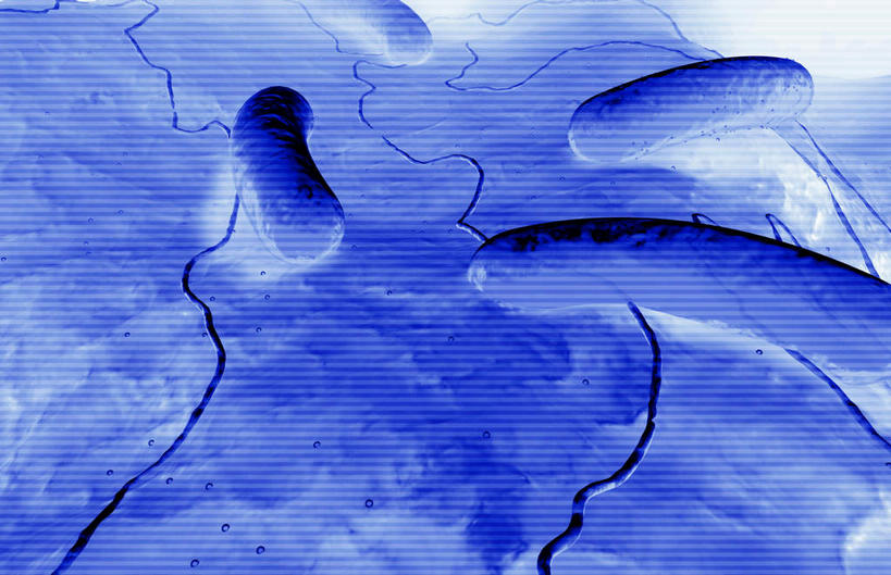 无人,横图,插画,室内,白天,正面,数码,分子,科技,微生物,静物,阴影,蓝色背景,网络,医学,高光,几何,计算机图形,合成,图画,画,生物,人体,电脑合成图,数码合成图,医疗,病毒,生物学,漫画,生理学,写实,具体,具象,寄生,生命体,棒状,肠道细菌感染,肠杆菌,彩图,沙门氏菌