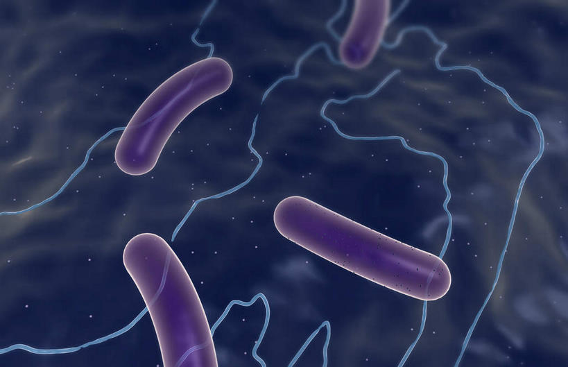 无人,横图,插画,室内,白天,正面,数码,分子,科技,微生物,静物,阴影,蓝色背景,网络,医学,高光,几何,计算机图形,合成,图画,画,生物,人体,电脑合成图,数码合成图,医疗,病毒,生物学,漫画,生理学,写实,具体,具象,寄生,生命体,棒状,肠道细菌感染,肠杆菌,彩图,沙门氏菌