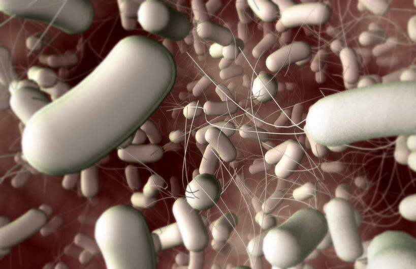 无人,横图,插画,室内,白天,正面,数码,分子,科技,微生物,静物,阴影,蓝色背景,网络,医学,高光,几何,计算机图形,合成,图画,画,生物,人体,电脑合成图,数码合成图,医疗,病毒,生物学,漫画,生理学,写实,具体,具象,寄生,生命体,棒状,肠道细菌感染,肠杆菌,彩图,沙门氏菌