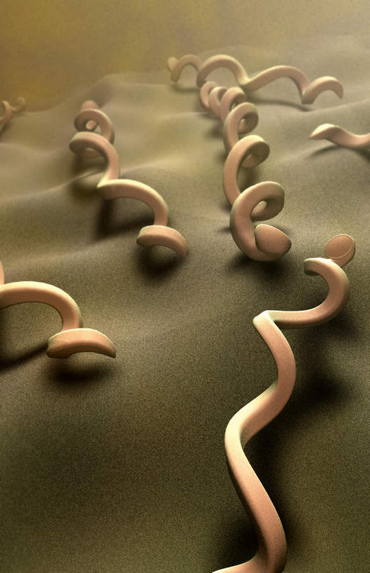 无人,竖图,插画,室内,白天,正面,数码,分子,科技,微生物,静物,阴影,网络,细菌,医学,细胞,高光,几何,计算机图形,合成,图画,画,生物,人体,电脑合成图,数码合成图,医疗,生物学,漫画,生理学,写实,具体,具象,寄生,生命体,螺旋菌,梅毒螺旋体,彩图