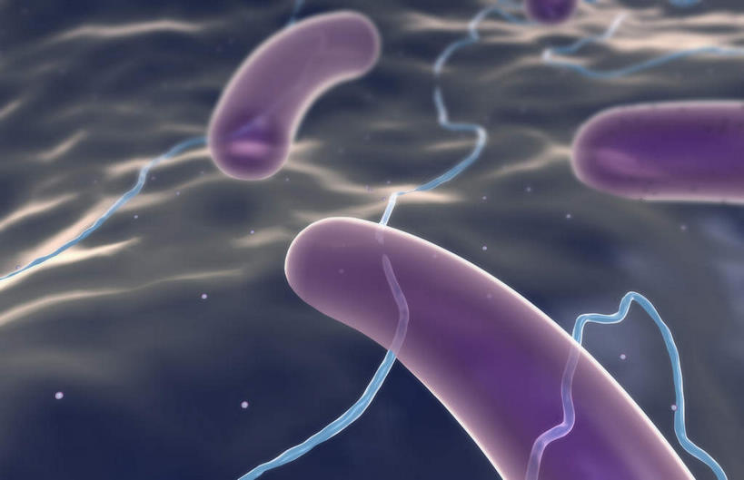 无人,横图,插画,室内,白天,正面,数码,分子,科技,微生物,静物,阴影,蓝色背景,网络,医学,高光,几何,计算机图形,合成,图画,画,生物,人体,电脑合成图,数码合成图,医疗,病毒,生物学,漫画,生理学,写实,具体,具象,寄生,生命体,棒状,肠道细菌感染,肠杆菌,彩图,沙门氏菌