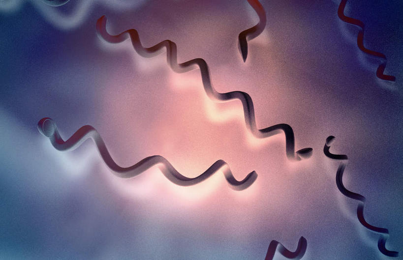 无人,横图,插画,室内,白天,正面,数码,分子,科技,微生物,静物,阴影,网络,细菌,医学,细胞,高光,几何,计算机图形,合成,图画,画,生物,人体,电脑合成图,数码合成图,医疗,生物学,漫画,生理学,写实,具体,具象,寄生,生命体,螺旋菌,梅毒螺旋体,彩图