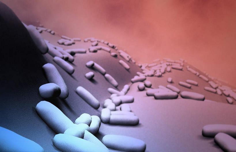 无人,横图,插画,室内,白天,正面,数码,分子,科技,微生物,静物,阴影,网络,细菌,医学,细胞,高光,几何,计算机图形,合成,图画,画,生物,人体,电脑合成图,数码合成图,医疗,生物学,漫画,生理学,写实,具体,具象,寄生,生命体,枯草芽孢杆菌,棒状,蜡样芽孢杆菌,破伤风,炭疽,彩图