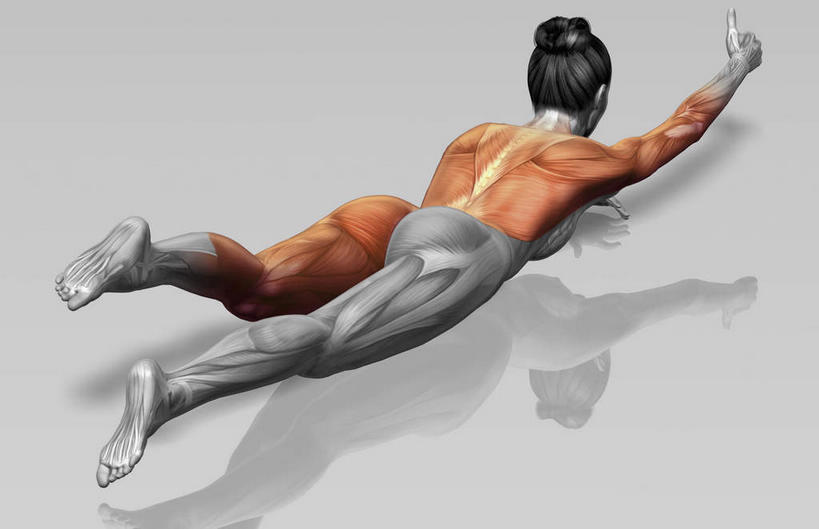 背部,动脉,静脉,骨骼,肌肉,健壮,一个人,无人,横图,插画,室内,特写,白天,数码,科技,静物,仅一个年轻女性,仅一个女性,仅一个人,阴影,光线,网络,医学,影子,灯光,骨头,高光,几何,计算机图形,合成,图画,画,模型,趴着,伸,健康,活力,力量,人体,抬起,青春,屈,电脑合成图,数码合成图,骨架,生物学,强壮,漫画,生理学,写实,具体,具象,年轻女性,女人,女性,趴,彩图,全身