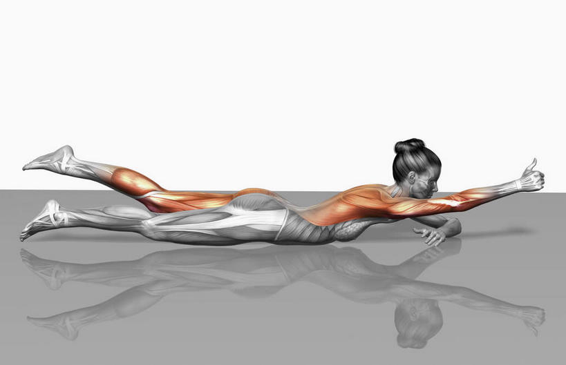 动脉,静脉,骨骼,肌肉,健壮,一个人,无人,举,横图,插画,室内,特写,白天,白色背景,侧面,数码,科技,静物,仅一个年轻女性,仅一个女性,仅一个人,握,阴影,光线,网络,医学,影子,灯光,骨头,高光,几何,计算机图形,拿,合成,图画,拿着,注视,画,模型,观察,看,趴着,托,健康,活力,力量,握着,人体,观看,青春,电脑合成图,数码合成图,骨架,察看,生物学,强壮,关注,漫画,生理学,写实,具体,具象,股四头肌,背阔肌,二头肌,腓肠肌,三角肌,股二头肌,腘绳肌,胸锁乳突肌,比目鱼肌,桡侧腕长伸肌,年轻女性,女人,女性,举起,举手,举着,趴,向上举,向上伸,向上托,彩图,全身