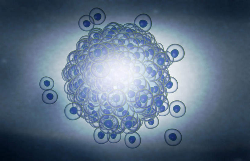 无人,横图,插画,室内,白天,白色背景,正面,数码,分子,科技,静物,阴影,网络,医学,细胞,高光,几何,计算机图形,合成,图画,画,生物,人体,电脑合成图,数码合成图,医疗,生物学,卵子,漫画,生理学,写实,具体,具象,卵泡,彩图