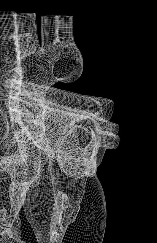 内脏,心脏,动脉,静脉,无人,竖图,黑白,插画,室内,白天,正面,数码,科技,静物,阴影,黑色背景,网络,医学,高光,几何,计算机图形,合成,图画,画,模型,人体,电脑合成图,数码合成图,生物学,器官,漫画,心血管,心房,心室,生理学,写实,具体,具象,肺静脉,腔静脉,心