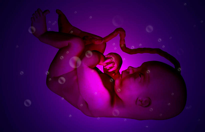 子宫,一个人,无人,横图,插画,室内,白天,正面,数码,科技,静物,仅一个人,阴影,黑色背景,网络,医学,高光,几何,计算机图形,合成,图画,画,人体,生长,成长,电脑合成图,数码合成图,胎儿,生物学,发育,脐带,漫画,孕育,生理学,写实,具体,具象,生命体,羊水,彩图,全身,胚胎