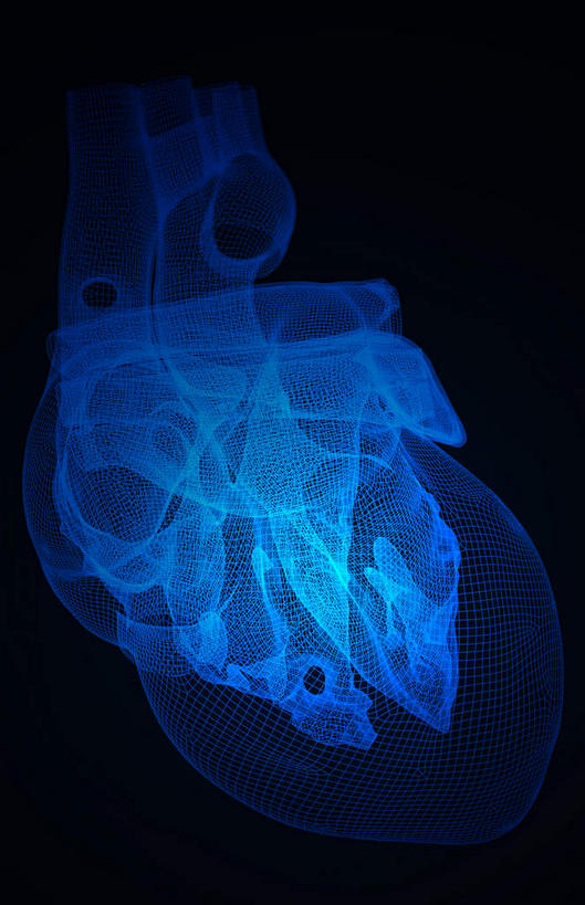 内脏,心脏,动脉,静脉,无人,竖图,插画,x光片,室内,白天,正面,数码,科技,静物,阴影,黑色背景,局部,辐射,科学,网络,医学,高光,几何,计算机图形,合成,图画,画,模型,人体,电脑合成图,数码合成图,医疗,生物学,人体器官,科学技术,x射线,器官,x光,漫画,左心房,心血管,心房,心室,生理学,写实,具体,具象,右心室,主动脉,上腔静脉,右心房,左心室,心,彩图,电磁波,电磁辐射