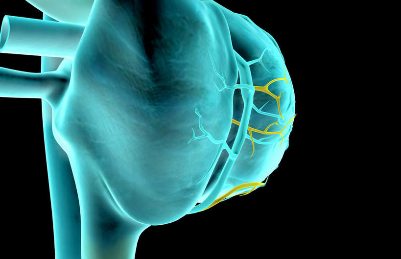 内脏,心脏,动脉,静脉,无人,横图,插画,x光片,室内,白天,正面,数码,科技,静物,阴影,黑色背景,局部,辐射,科学,网络,医学,高光,几何,计算机图形,合成,图画,画,模型,人体,电脑合成图,数码合成图,医疗,生物学,人体器官,科学技术,x射线,器官,x光,漫画,心血管,生理学,写实,具体,具象,肺静脉,冠状动脉,冠心病,冠状沟,前室间沟,心,彩图,电磁波,电磁辐射