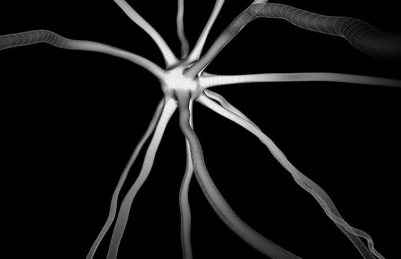 无人,横图,插画,室内,特写,白天,正面,数码,分子,科技,微生物,静物,阴影,黑色背景,网络,医学,细胞,枝条,高光,几何,计算机图形,合成,图画,画,生物,分叉,人体,电脑合成图,数码合成图,医疗,生物学,漫画,神经元,生理学,写实,具体,具象,神经细胞,运动神经元,彩图,神经系统