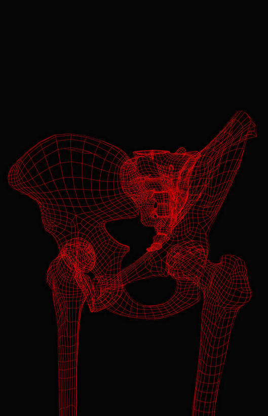 骨骼,骨盆,无人,竖图,插画,室内,特写,白天,正面,数码,科技,静物,阴影,黑色背景,网络,医学,骨头,高光,几何,计算机图形,合成,图画,画,红色,人体,电脑合成图,数码合成图,骨架,生物学,盆骨,漫画,生理学,写实,具体,具象,骶骨,髋骨,尾骨,彩图