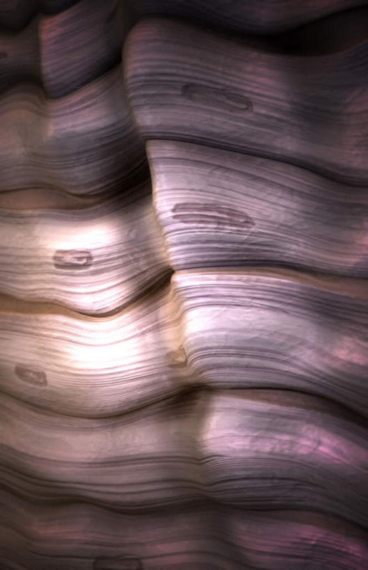 无人,竖图,插画,室内,特写,白天,正面,数码,科技,静物,阴影,黑色背景,网络,医学,高光,几何,计算机图形,合成,图画,画,人体,电脑合成图,数码合成图,生物学,漫画,生理学,写实,具体,具象,胶原蛋白,结缔组织,致密结缔组织,彩图