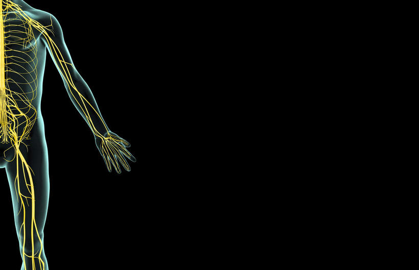 骨骼,无人,横图,插画,x光片,室内,特写,白天,正面,数码,科技,静物,阴影,黑色背景,辐射,科学,网络,医学,线条,骨头,高光,几何,计算机图形,合成,图画,画,人体,轮廓,电脑合成图,数码合成图,骨架,医疗,生物学,科学技术,x射线,x光,漫画,生理学,写实,具体,具象,尺神经,正中神经,彩图,神经系统,电磁波,电磁辐射