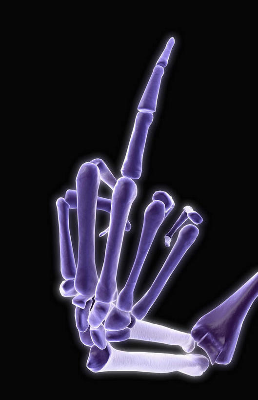 中指,骨骼,无人,竖图,插画,室内,特写,白天,正面,数码,科技,静物,指,阴影,黑色背景,网络,医学,骨头,高光,几何,计算机图形,合成,图画,方向,画,手势,向上,竖,人体,翘,电脑合成图,数码合成图,骨架,生物学,指向,手骨,鄙视,挑衅,漫画,生理学,写实,具体,具象,藐视,讽刺,蔑视,嘲笑,人身攻击,指骨,彩图