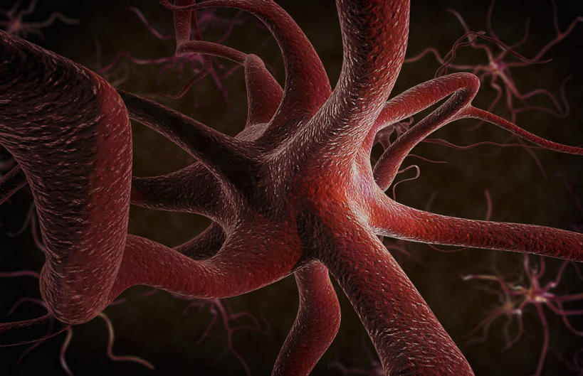 无人,横图,插画,室内,特写,白天,正面,数码,科技,静物,阴影,黑色背景,网络,医学,枝条,高光,几何,计算机图形,合成,图画,画,红色,分叉,人体,电脑合成图,数码合成图,生物学,漫画,神经元,生理学,写实,具体,具象,树突,神经细胞,彩图,神经系统