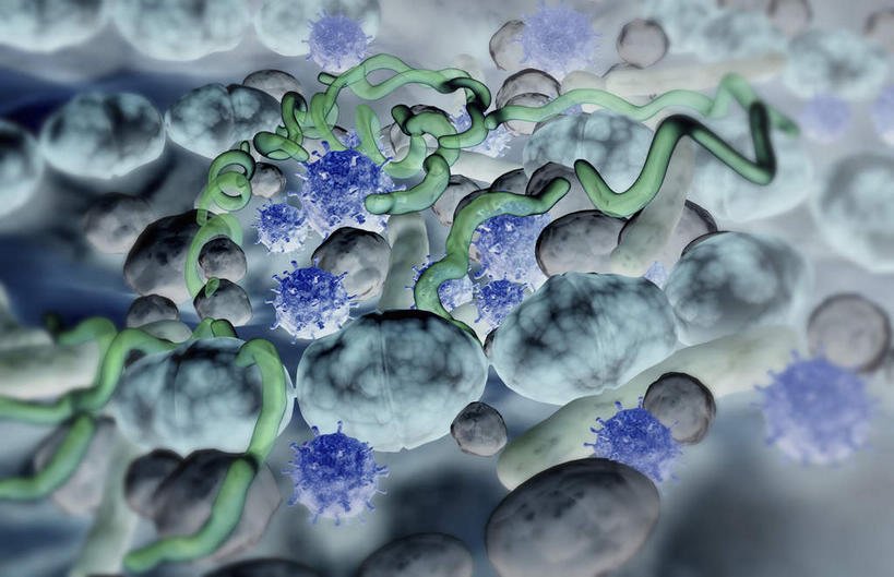 无人,横图,插画,室内,特写,白天,正面,数码,科技,微生物,静物,阴影,黑色背景,网络,医学,高光,几何,计算机图形,合成,图画,画,生物,人体,电脑合成图,数码合成图,医疗,病毒,生物学,漫画,生理学,写实,具体,具象,寄生,生命体,生物病毒,螺旋杆菌,棒状,链球菌,彩图