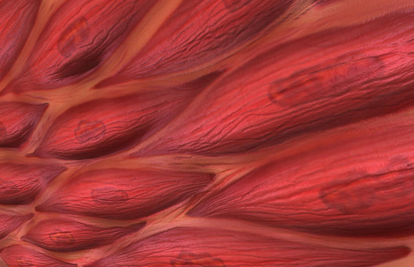 肌肉,健壮,无人,横图,插画,室内,特写,白天,正面,数码,科技,阴影,黑色背景,网络,高光,几何,计算机图形,合成,图画,画,健康,活力,力量,青春,电脑合成图,数码合成图,强壮,漫画,写实,具体,具象,平滑肌,彩图