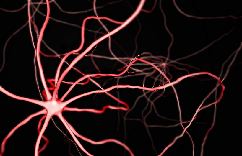 神经,无人,横图,插画,室内,特写,白天,正面,数码,科技,静物,阴影,黑色背景,网络,医学,细胞,高光,几何,计算机图形,合成,图画,画,红色,人体,电脑合成图,数码合成图,生物学,漫画,神经元,生理学,写实,具体,具象,轴突,彩图,神经系统,神经组织