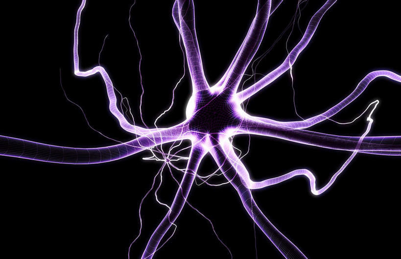 神经,无人,横图,插画,室内,特写,白天,正面,数码,科技,静物,阴影,黑色背景,网络,医学,细胞,高光,几何,计算机图形,合成,图画,画,紫色,人体,电脑合成图,数码合成图,生物学,漫画,神经元,生理学,写实,具体,具象,轴突,彩图,神经系统,神经组织