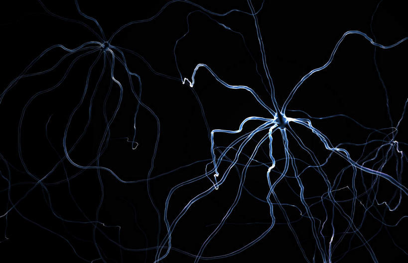 神经,无人,横图,插画,室内,特写,白天,正面,数码,科技,静物,阴影,黑色背景,网络,医学,细胞,高光,几何,计算机图形,合成,图画,画,黑色,人体,电脑合成图,数码合成图,生物学,漫画,神经元,生理学,写实,具体,具象,轴突,彩图,神经系统,神经组织
