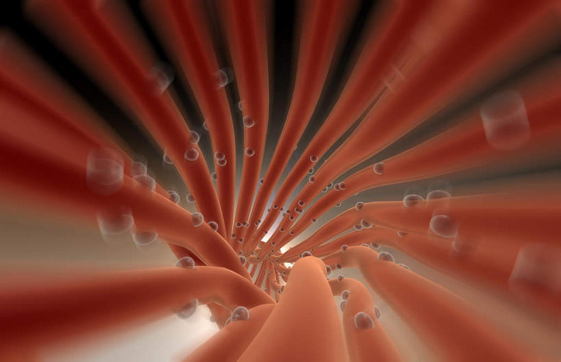 神经,无人,横图,插画,室内,特写,白天,正面,数码,科技,静物,阴影,黑色背景,朦胧,模糊,网络,医学,细胞,高光,几何,计算机图形,合成,图画,画,红色,人体,电脑合成图,数码合成图,生物学,漫画,神经元,生理学,写实,具体,具象,轴突,彩图,神经系统,神经组织