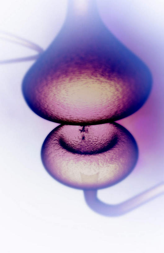 神经,无人,竖图,插画,室内,特写,白天,正面,数码,科技,静物,阴影,黑色背景,网络,医学,细胞,高光,几何,计算机图形,合成,图画,画,红色,人体,电脑合成图,数码合成图,生物学,漫画,神经元,生理学,写实,具体,具象,轴突,彩图,神经系统,神经组织