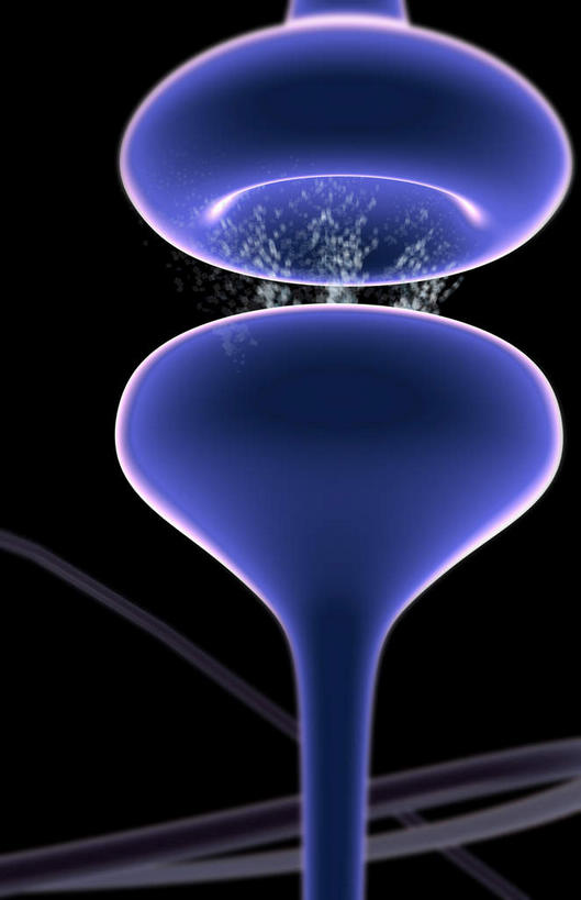 神经,无人,竖图,插画,室内,特写,白天,正面,数码,科技,静物,阴影,黑色背景,对称,网络,医学,细胞,高光,几何,计算机图形,合成,图画,画,蓝色,人体,电脑合成图,数码合成图,生物学,漫画,神经元,生理学,写实,具体,具象,轴突,彩图,神经系统,神经组织